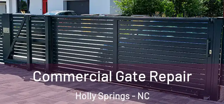 Commercial Gate Repair Holly Springs - NC
