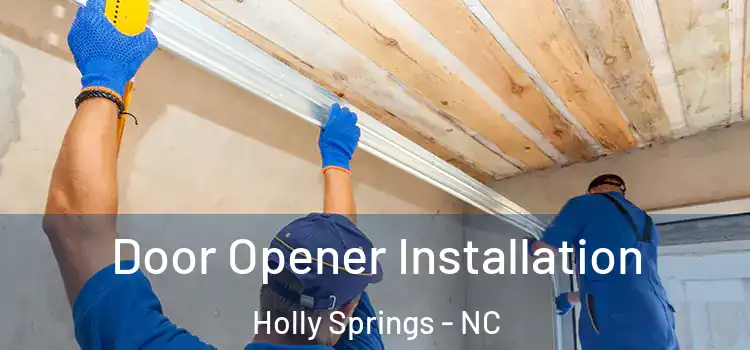 Door Opener Installation Holly Springs - NC