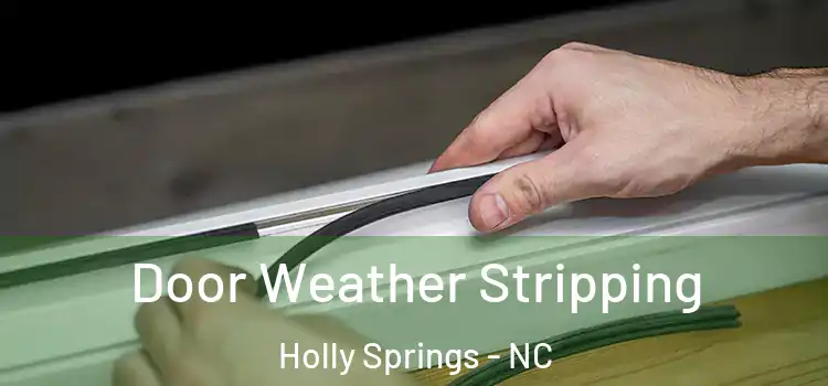 Door Weather Stripping Holly Springs - NC