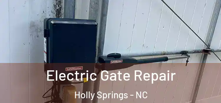 Electric Gate Repair Holly Springs - NC