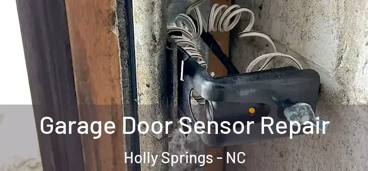 Garage Door Sensor Repair Holly Springs - NC