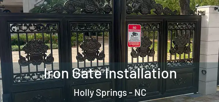 Iron Gate Installation Holly Springs - NC