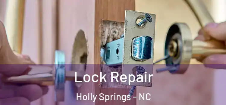 Lock Repair Holly Springs - NC