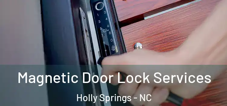 Magnetic Door Lock Services Holly Springs - NC